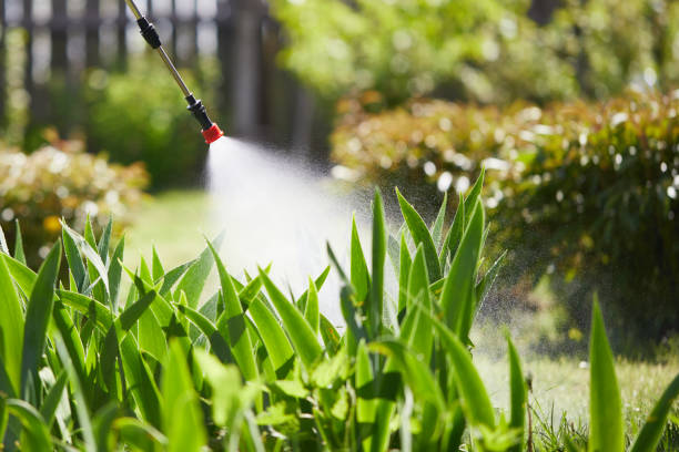 Tamper-Resistant Bait Stations for Rodents in Cashton