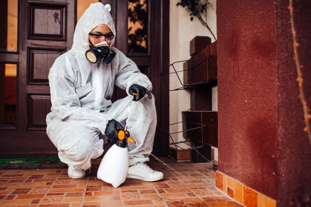 Attic and Crawl Space Rodent Treatment in Cashton
