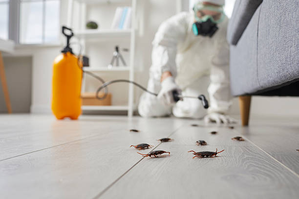 Commercial Rodent Management in Cashton